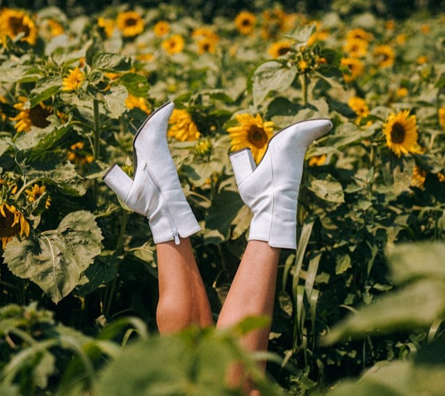 dushawn-jovic-PlPk7yZt5yo-unsplash